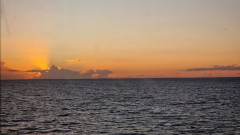 20250905_195235 20250905_195235