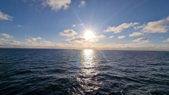 20250906_080327 20250906_080327