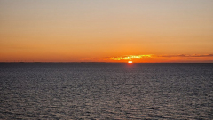 20250907_063535 20250907_063535