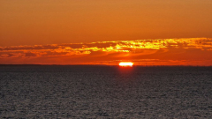 20250907_063541 20250907_063541