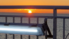 20250907_063652 20250907_063652