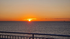 20250907_063759 20250907_063759