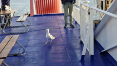 20250907_081023 20250907_081023