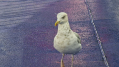 20250907_081028 20250907_081028