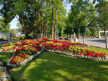 20190605_090955