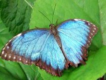 64375645_726431801134458_2705654492526804992_n