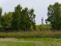 p1090165