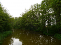 p1090171