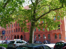 p1090287