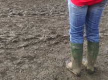 camerazoom_20150729173749258