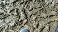 video0080_0000012822