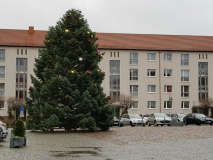 20181211_133403