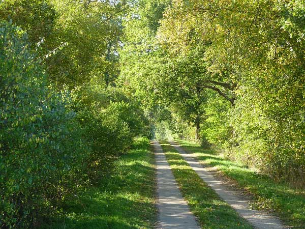 Kreis Dithmarschen nimmt neuen Anlauf für die Ausweisung von Landschaftsschutzgebieten