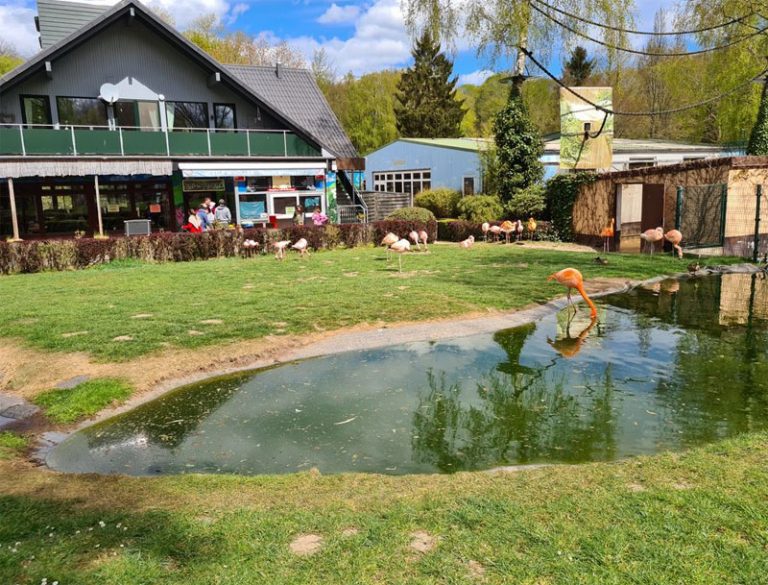 Corona: Außengelände der Tierparks in Schleswig-Holstein können öffnen