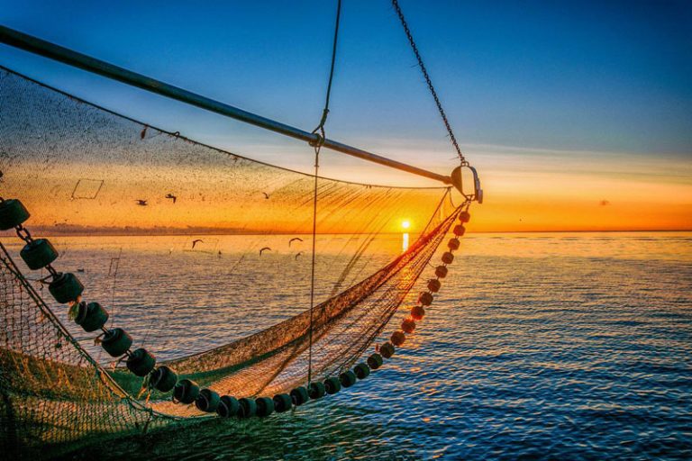 Sieben Staaten an der Nordsee