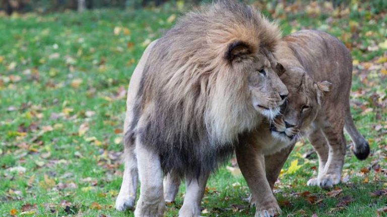 Tierisch viel los während der Winterferien im Rostocker Zoo