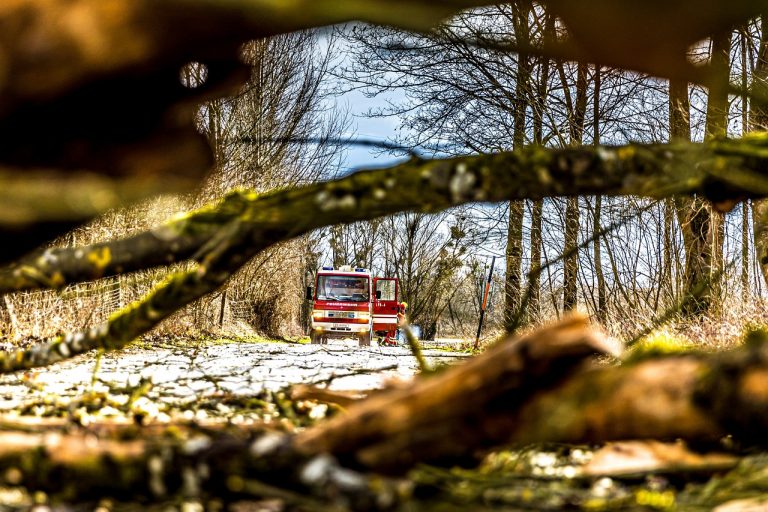 Kieler Ministerium warnt wegen Unwetter vorm Betreten der Wälder